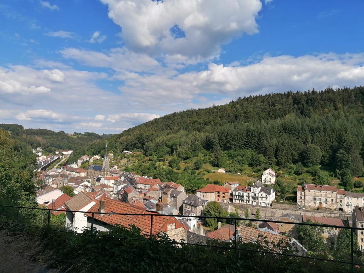 Gite Des Hortensias Raon-aux-Bois Kültér fotó