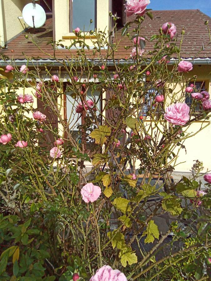 Gite Des Hortensias Raon-aux-Bois Kültér fotó