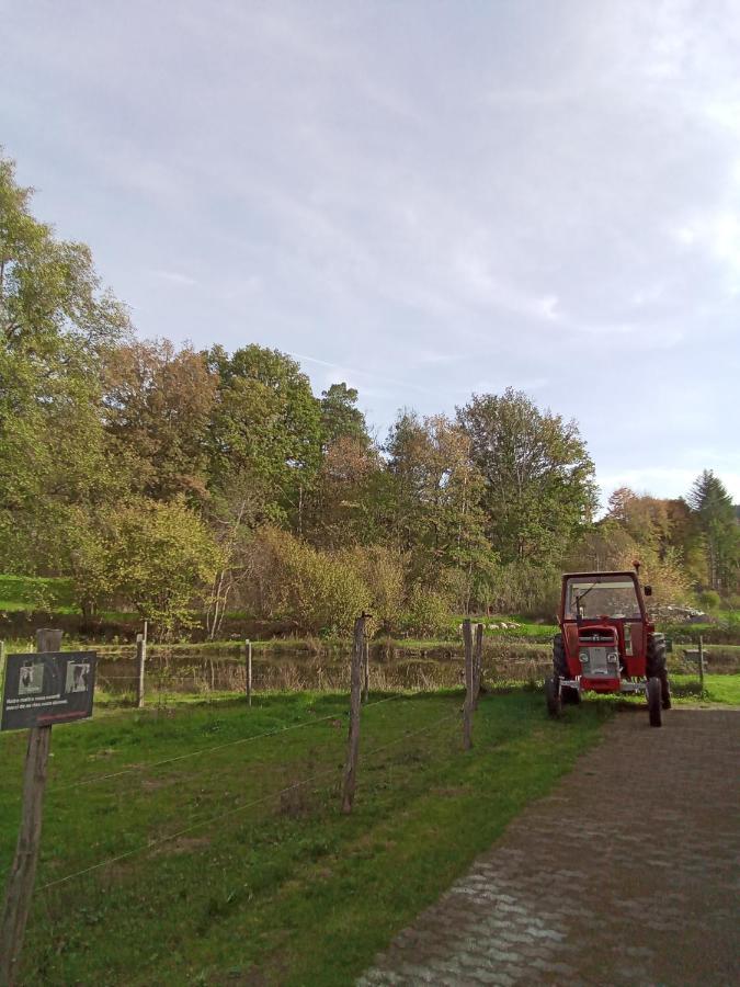 Gite Des Hortensias Raon-aux-Bois Kültér fotó